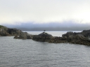 fjordland (43)